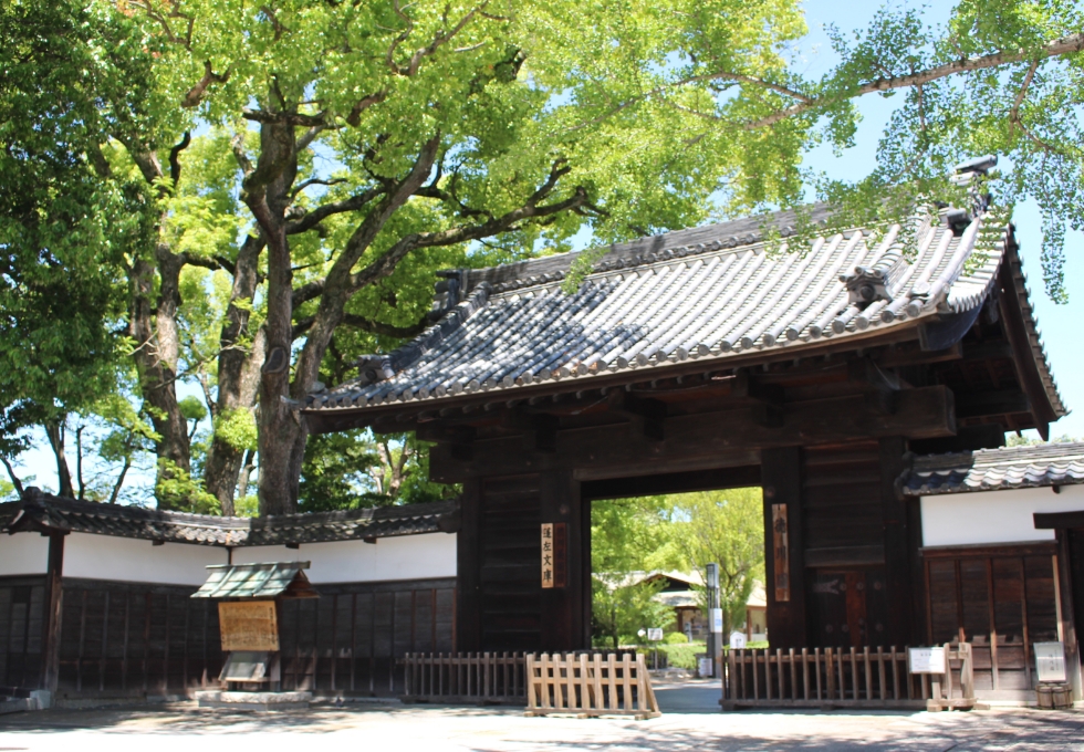 伝統工芸品から国宝、庭園まで、徳川家にまつわる美に触れる